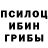 Галлюциногенные грибы Cubensis Gulsabah Ibrahimova