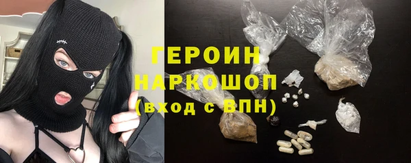 гидра Богородицк