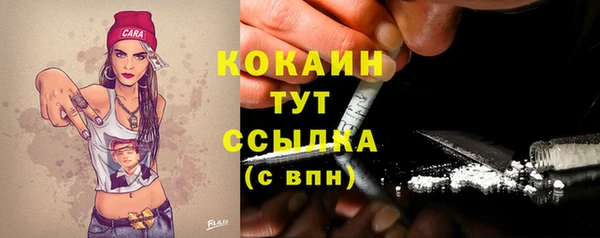 гидра Богородицк