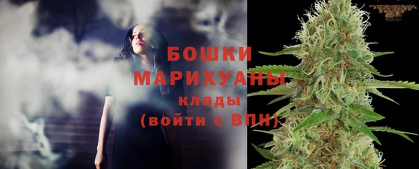 первитин Богданович