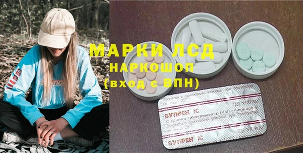 гидра Богородицк