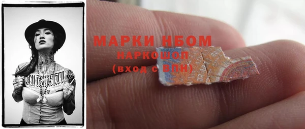 гидра Богородицк