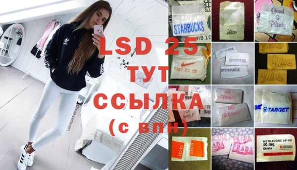 гидра Богородицк