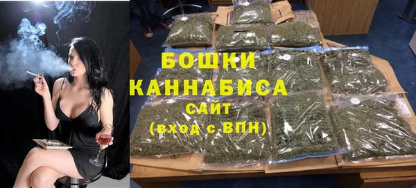 гидра Богородицк