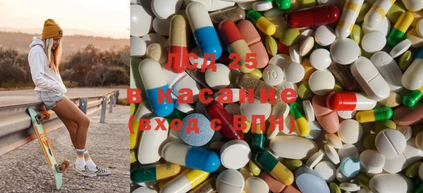 гидра Богородицк