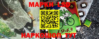 крисы Севастополь