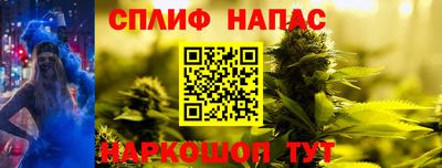 крисы Севастополь