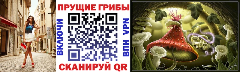 наркошоп  Чернушка  kraken как войти  Псилоцибиновые грибы ЛСД 