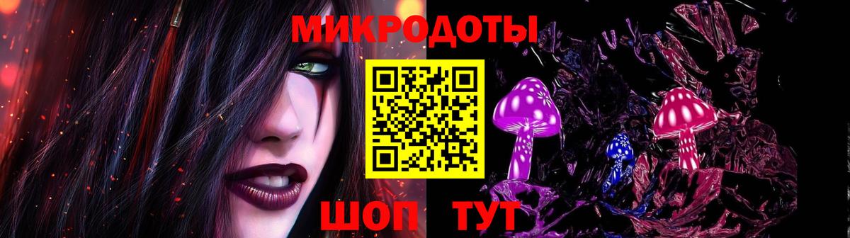 Чернушка  где найти   Вход с VPN  Псилоцибиновые грибы GOLDEN TEACHER  Галлюциногенные грибы Psilocybine cubensis 